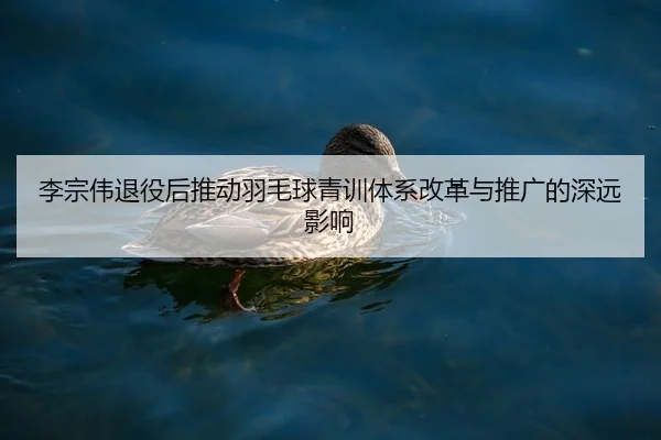 李宗伟退役后推动羽毛球青训体系改革与推广的深远影响